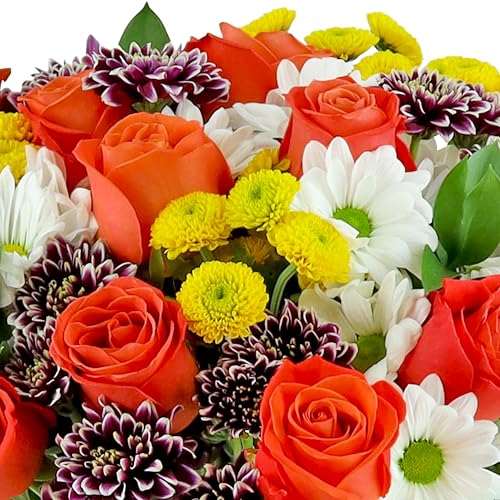 Benchmark Bouquets - Life is Good Orange (Glass Vase Included) - Fresh Flowers for Delivery - Gift for Birthday, Anniversary, Get Well, Sympathy, Congratulations, Just Because