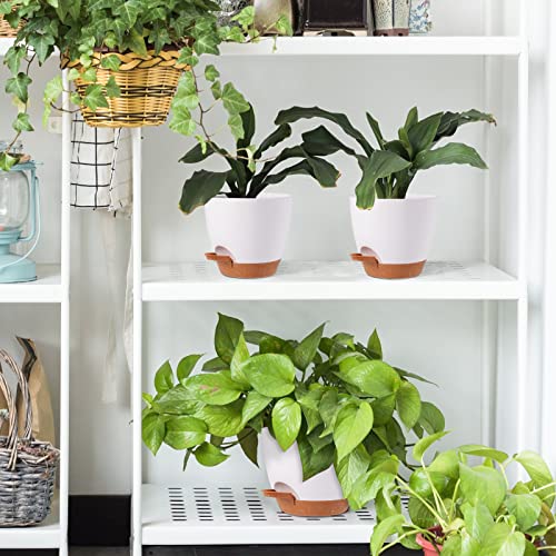 Jofamy 6 Inch Planter Pots, 5-Pack Self Watering Planters For Indoor Outdoor Plants, Plastic Plant Pots Set With Drainage Hole, Decorative White Flower Pots For All House, Garden Plants #TOP4