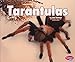 Tarantulas (Creepy Crawlers)