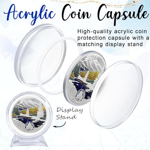 churyuml 1 month sobriety coin 30 day sobriety chip one month aa coins recovery medallions sobriety gifts for men women sober token alcoholics anonymous gift with capsule display amp card