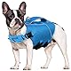 ASENKU Schwimmweste Hund M, Hundeschwimmweste Rettungswesten für Mittelgroße Hunde mit Griff und Reflektierend,Leicht und Sicher,Hunde Schwimmweste zum Schwimmen, Bootfahren und Kanufahren