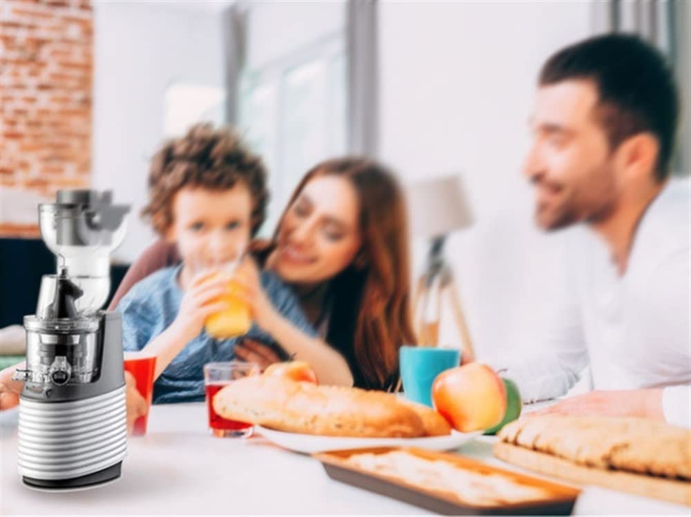 Estrattore di Succo, estrattore Lento Facile da Pulire, estrattore di Succo a Freddo con Funzione inversa per Frutta e Verdura, Senza BPA, Bianco (Dimensioni: 1)