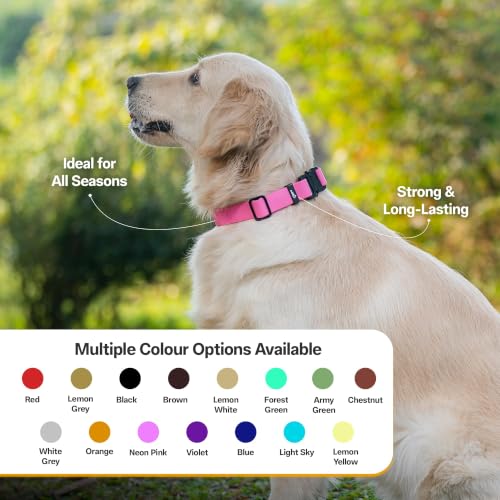 Image of Adil's Biothane Waterproof Dog Collar, Dog Leash & Collar Leash Combo | Heavy Duty TPU Coated Webbing | Adjustable Quick Release Buckle | Odour Resistant (Pink, L-22, Collar only)