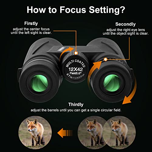 Binocolo Compatto Flintronic 8x30 - Impermeabile, Leggero, Per Birdwatching E Sport - Foto 10