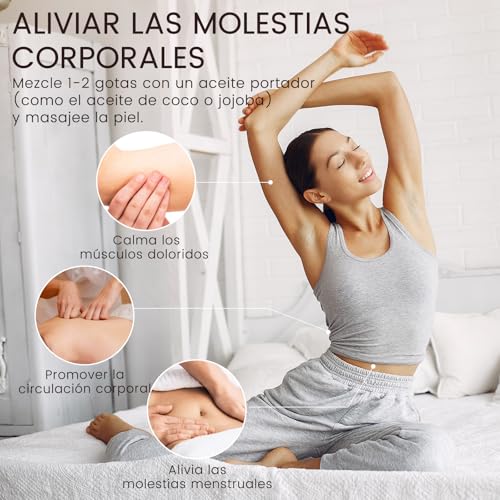 Miniatura 6 de Aceite Esencial Canela 100ml, Munusna Aceite De Canela Natural Puro Para Calmar El Estado De Ánimo, Aceites Esenciales Para Humidificador Difusor Aromas, Jabón, Velas, Masaje, Cinnamon Oil
