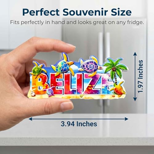 Imán Decorativo de Resina 3D Tortuga Belize 3.94 x 1.97 pulg miniatura 2