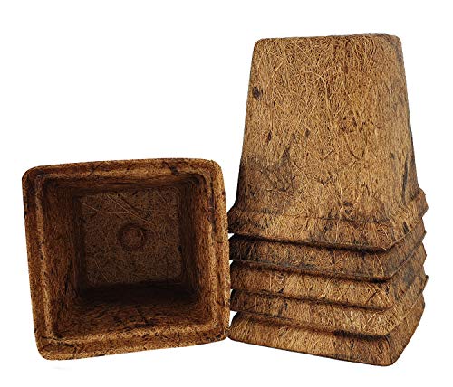 Green Products-Coco Coir Fiber Grow Edge Pots,Eco-Orgranic Meterials for Seed Starter,Indoor Outdoor Garden Pots,10 Pack 3.75 Inch