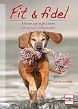  Fit & fidel: Fitnessprogramm für graue Schnauzen