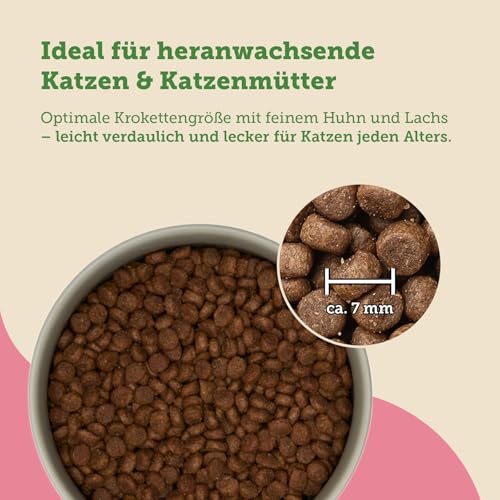 MERA Cats Nature Lachs Premium Kitten Trockenfutter für Katzen 400g | Getreidefrei & zuckerfrei | Katzenfutter Trocken mit hohen Fleischanteil & Colostrum | Dry Cat Food