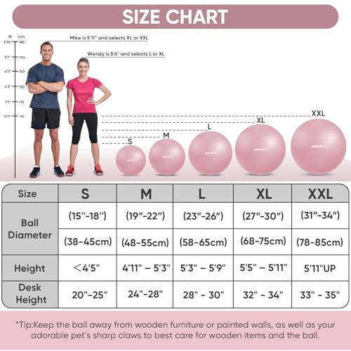 Image of APEXUP Yoga Ball, 660 lbs Anti-Burst Exercise Ball with Pump, 5 Sizes