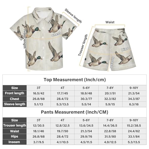 Boccsty Mallard Ducks Flying Boy Summer Shorts Sets Hawaiian Toddler Boys T-Shirt & Pants 2 Pcs 3T3