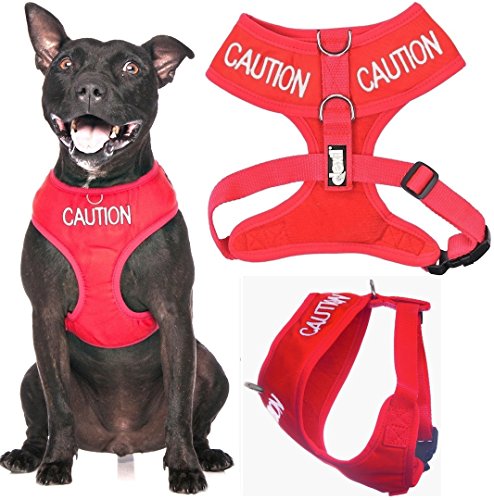 Caution Red Color Coded Waterproof Padded Adjustable Non Pull Front and Back Ring Alert Warning Medium Vest Dog Harness Prevents Accidents By Warning Others of Your Dog in Advance