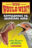 Rattlesnake vs. Secretary Bird (Who Would Win?) (15)