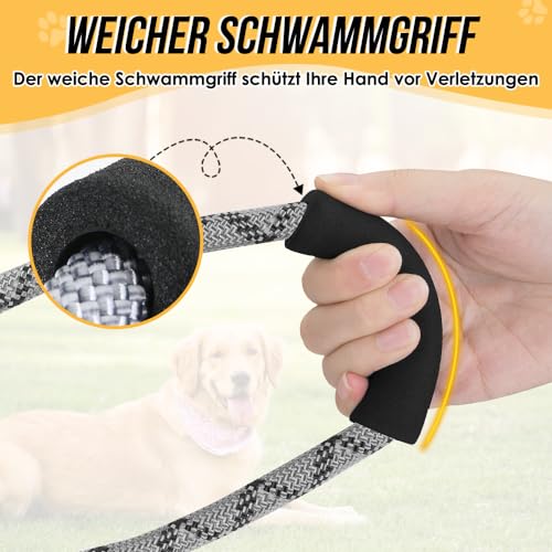 Eyein Hundeleine 3m für Kleine mittelgroße Hunde, 8in1 Schleppleine mit 3 Verstellbare Schnalle und Griffen, Reflektierende Doppelleine für 2 Hunde - Unter 100KG, Verdickte Freihandleinen, Hellgrau