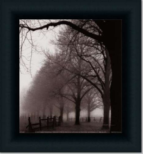 Black And White Morning By Harold Silverman Art Print Poster Picture Framed Decor 10X10