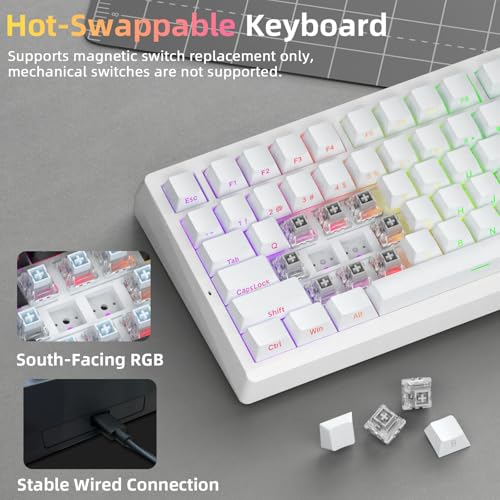 Image of LEOBOG A80 RT Hall Effect Gaming Keyboard Wired, Rapid Trigger Magnetic Switch Keyboard with 0.01mm RT Adjustable Actuation, 8000Hz Polling Rate, RGB Backlit Mechanical Keyboard 75% for PC Gamer