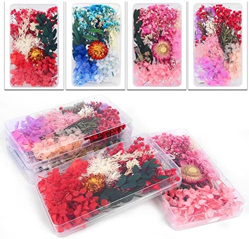 PATIKIL Lot De 48 Marguerites Séchées Séchées Naturelles Séchées Pour Loisirs Créatifs, Décoration De Maison, Décoration D'ongles, Teinture Blanche