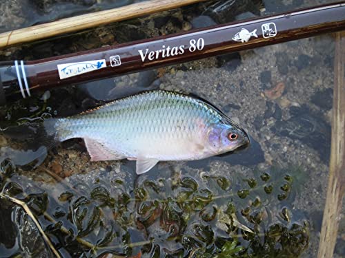 Amazon | ツララ(Tulala) ベリタス60/80 | ツララ(Tulala) | 渓流竿