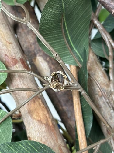 LE VIAN 2/5 Carat White and Chocolate Diamond Round Halo Ring for Women with 2 1/2 Carat Smoky Quartz | 14k Rose Gold Anniversary Ring for Her (White/Brown, 0.40 cttw) Wedding Promise Band Size 74