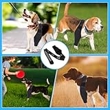 EIHI Kniebandage Hund Hinterbein für das Linke Bein - Hergestellt aus Neopren,für Kreuzbandriss,Bänderverletzungen,Patellaluxation oder Osteoarthritis - Größe M
