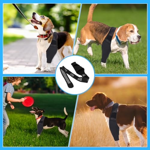 EIHI Kniebandage Hund Hinterbein für das Linke Bein - Hergestellt aus Neopren,für Kreuzbandriss,Bänderverletzungen,Patellaluxation oder Osteoarthritis - Größe M