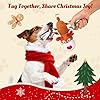 BBeary Christmas Dog Toys - Rope Reindeer Durable Squeaky Plush Dog Toy for Small, Medium & Large Dogs, Soft Xmas Gift for Pets #5