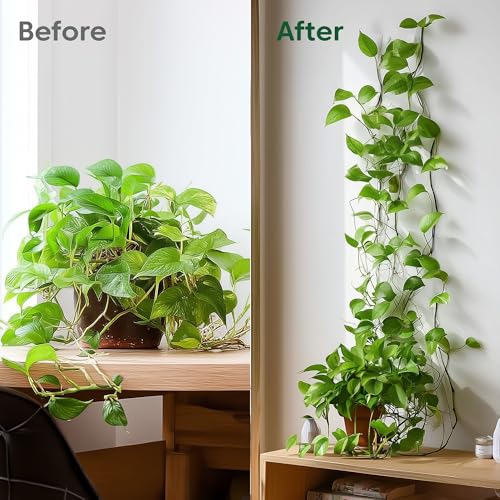Image of Kyari Plant Clip Self-Adhesive Plant Clips for Climbers (Pack of 30)