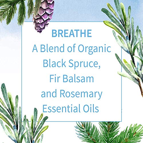 Garden of Life Organic Breathe Blend Essential Oil, USDA Organic, 0.5 Fl Oz - image 3