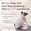 iHeartDogs Allergy & Itch Relief and Bone Broth for Dogs Bundle