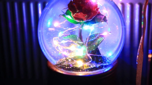 ゼベワン　ROSE RING WATERGLOBE (スノードーム) Amazon.com: Rose Snow Globe Music Box, Preserved Red Rose Flower