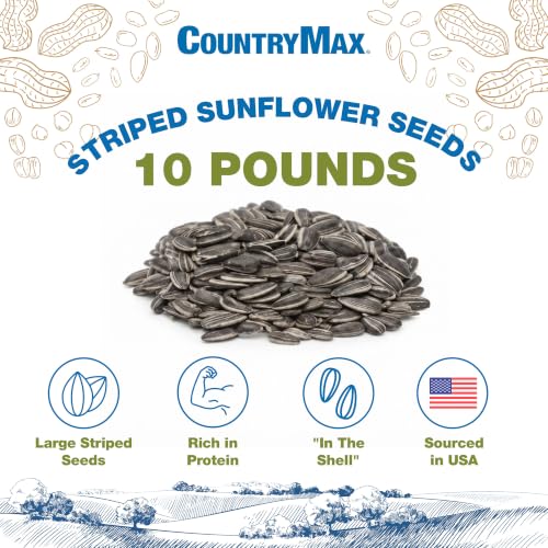 Image of CountryMax 10LB Striped Sunflower Seeds for Birds - in Shell | Thin Shells, Cardinal Favorite, High Energy & USA Sourced. For Ground Feeding or Bird Feeders, For Year-Round Feeding