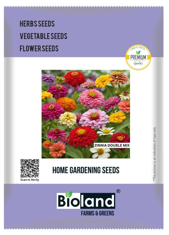BIOLAND Zinnia Double Mix Seeds For Home Garden | Easy to Grow Flower Seeds For Sowing (B0CVD9H2DZ) Amazon Price History, Amazon Price Tracker