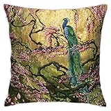 Drissa Peacock and Blossoms Pillow Covers Decorative Throw Pillowcase 18x18 Inch Square Couch Cushion Cover for Home Decor Sofa Living Room Bed Car Sofa