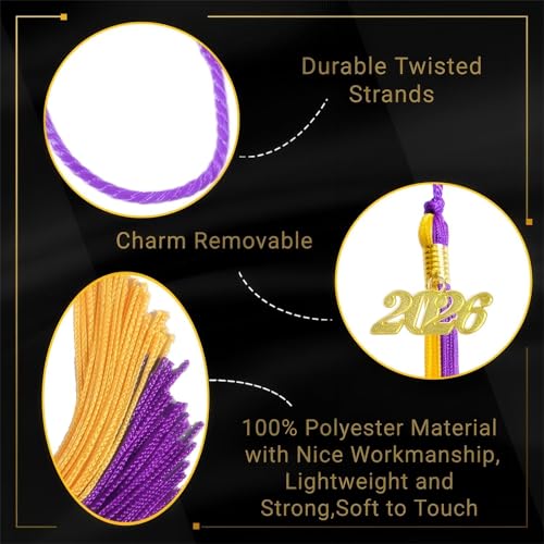 Image of Purple and Gold Graduation Tassel 2026 for Grad Cap and Graduation Ceremony Accessory Decoration