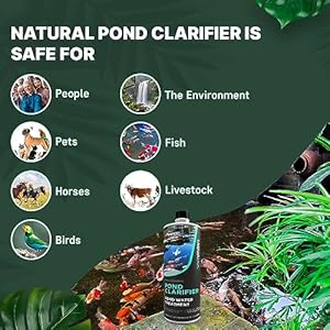 Pond clarifier fish friendly koi pond water clarifier to quickly clear murky pond water and remove pond sludge with natural enzymes fish pond water treatment aquadoc pond supplies  urban country home decor
