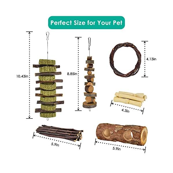 Erkoon new 12 pack hamster chew toys gerbil rat guinea pig chinchilla chew toys accessories, natural wooden dumbbells exercise bell roller teeth care molar toy for rabbits bird rabbits hamster gerbil - image 3