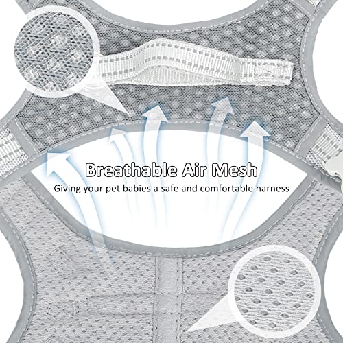 Dog Harness and Leash Set, No Pull Harness for Small Dogs and Cats, Air Mesh Harness with Easy Control Handle and… - Image 5