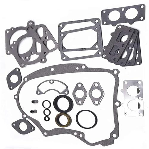 Jeu joints moteur pour Briggs Stratton 694012 la qualité durable pour votre motoculteur