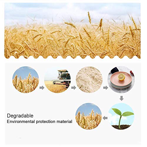 Shopwithgreen Lightweight Wheat Straw Plates - 4 Pack 7.8'' Unbreakable Dinner Plates, Dishwasher & Microwave Safe, BPA free, for Kids,Children,Toddler & Adult