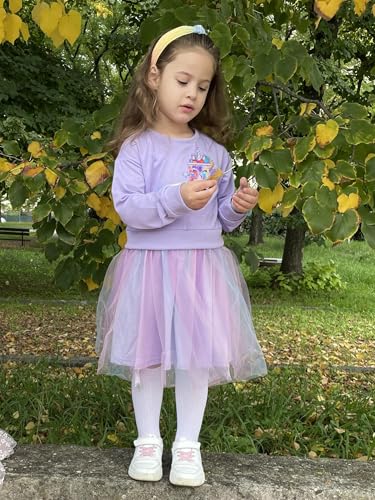 Image of Arshiner Toddler Girl Clothes Long Sleeve Pullover Sweatshirt and Tutu Skirt 2 Piece Outfits Kids Clothing Set Party Dress