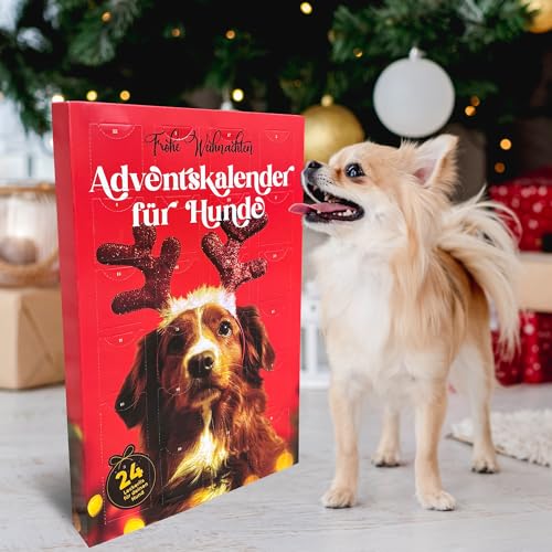 Nur Dieses Weihnachten - 8 Verschiedene Echte Fleischsorten im Hunde Adventskalender – Glutenfrei & Weizenfrei – Exklusive Auswahl: Rind, Ente, Huhn, Fisch