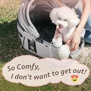Sway-Dog-Car-Seat-Car-Seat-Carrier-for-Small-Medium-Sized-Dogs-Small-Dog-Car-Seat-Booster-Pet-Booster-Seat-Doggy-Carseat-Cat-Carrier-Puppy-Car-Seat-Car-Dog-Bed-Gray-Husky - Cucciolini Doodles   Sway-Dog-Car-Seat-Car-Seat-Carrier-for-Small-Medium-Sized-Dogs-Small-Dog-Car-Seat-Booster-Pet-Booster-Seat-Doggy-Carseat-Cat-Carrier-Puppy-Car-Seat-Car-Dog-Bed-Gray-Husky