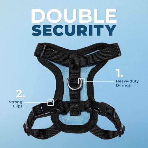 Image of Voyager Escape-Proof Step-in Lock Cat Harness & 5ft Neoprene-Handle Leash Set All-Weather Mesh with Reflective Stitching for Small to Large Cats by Best Pet Supplies, Baby Blue /Black Trim, XXS