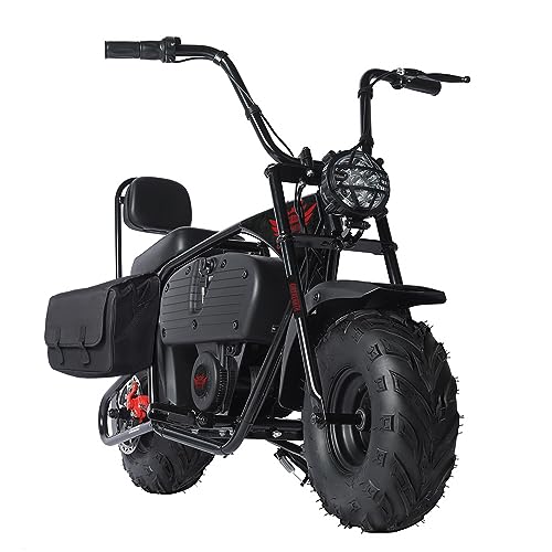 Oryxearth Electric Mini Dirt Bike 1000W 36V Battery Motor 15.5MPH/22 MPH 2 Speeds Electric Motorcycle, Up to 18LBS