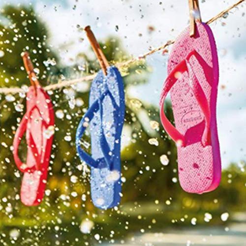 Image of Havaianas Women's Top Sandals