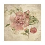 Trademark Fine Art Canvas Wall Art - Cheri Blum 'Dusty Pink Rose on Antique Linen Light' Wall Art for Living Room, Bedroom, or Office Décor