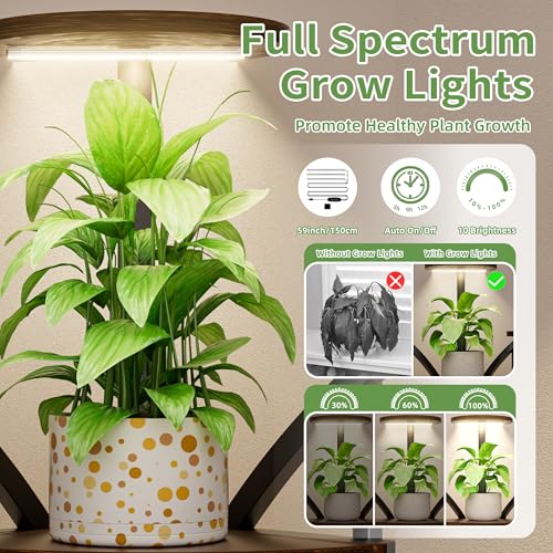 Image of Plant Stand Indoor with Grow Lights-63'' Tall Plant Shelf, Corner Plant Stands for Indoor Growing, Tiered Plant Shelves Large Flower Holder for Indoor Plants, V-Shaped Decorative Rack for Home, Black