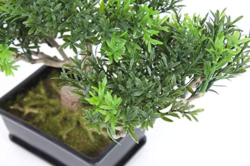 Artplants.de Bonsai Decorativo in vasetto con 100