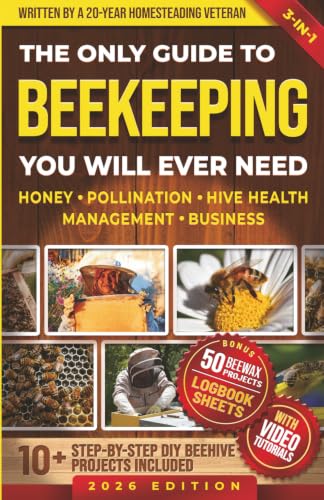 The Only Guide to Beekeeping You Will Ever Need