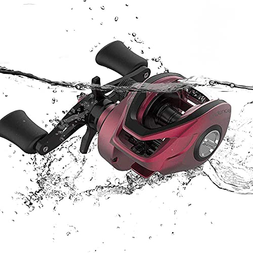 10 Best Baitcasters Under 100 for 2023